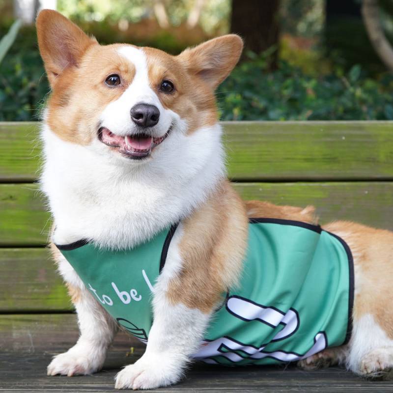สัตว์เลี้ยงสุนัขกันน้ํา Belly กระเป๋า Anti-สกปรกน่ารัก Bib Belly Protection เฉพาะ Corgi Belly Cover 