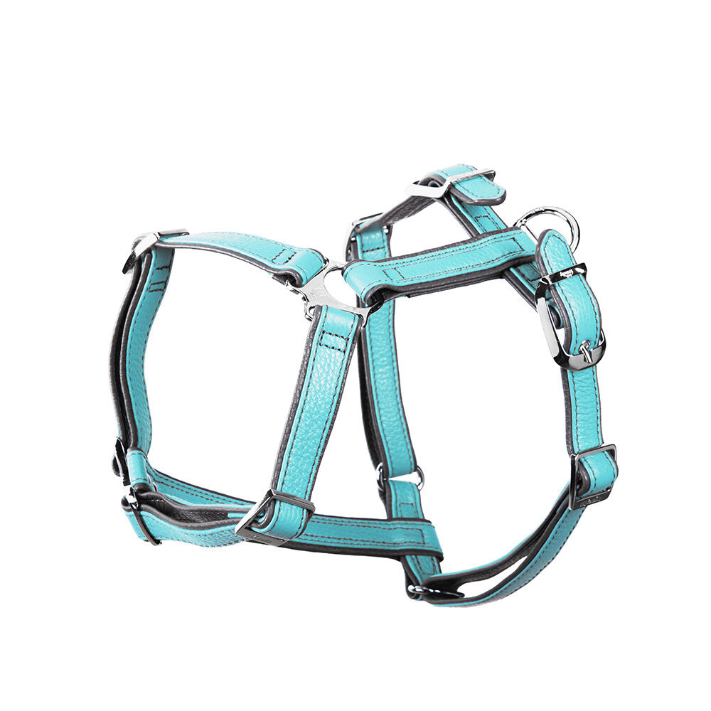 สายรัดอกสุนัข FIRENZE HARNESS H