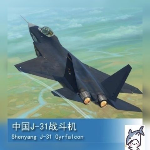 Trumpeter 1/72 China J-31 Fighter 01666