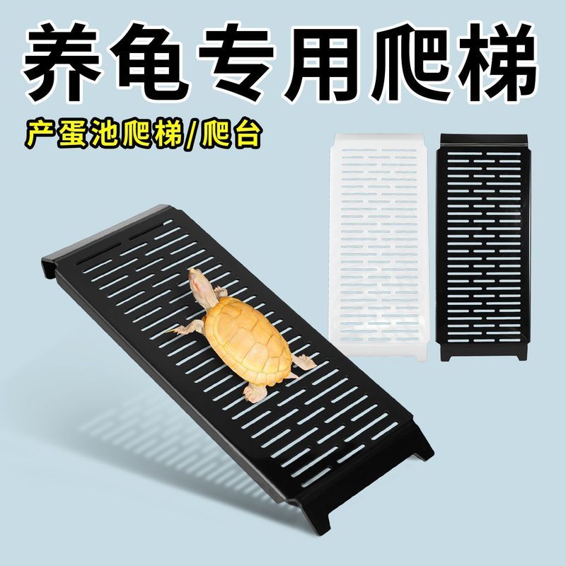 活体乌龟爬梯龟友下 DIY 超大号通用蛋龟繁殖箱产蛋晒台适配20260416Live Turtle Ladder for Turtle Friends DIY Extra-Large Universa