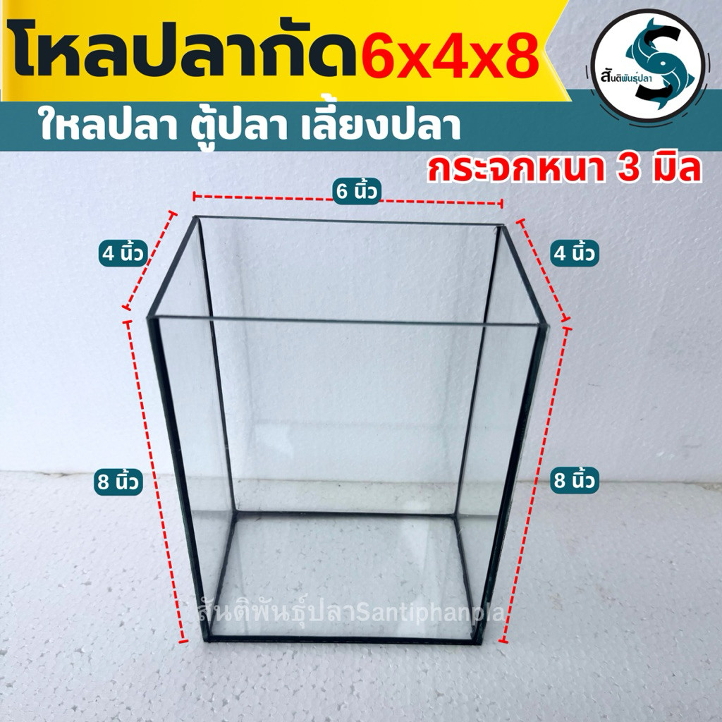 โหลปลากัด 6x4x8 นิ้ว กระจกหนา 3 มิลลิเมตร เหลี่ยมปลากัด โหลปลา ตุ้ปลากัด ตู้ปลา