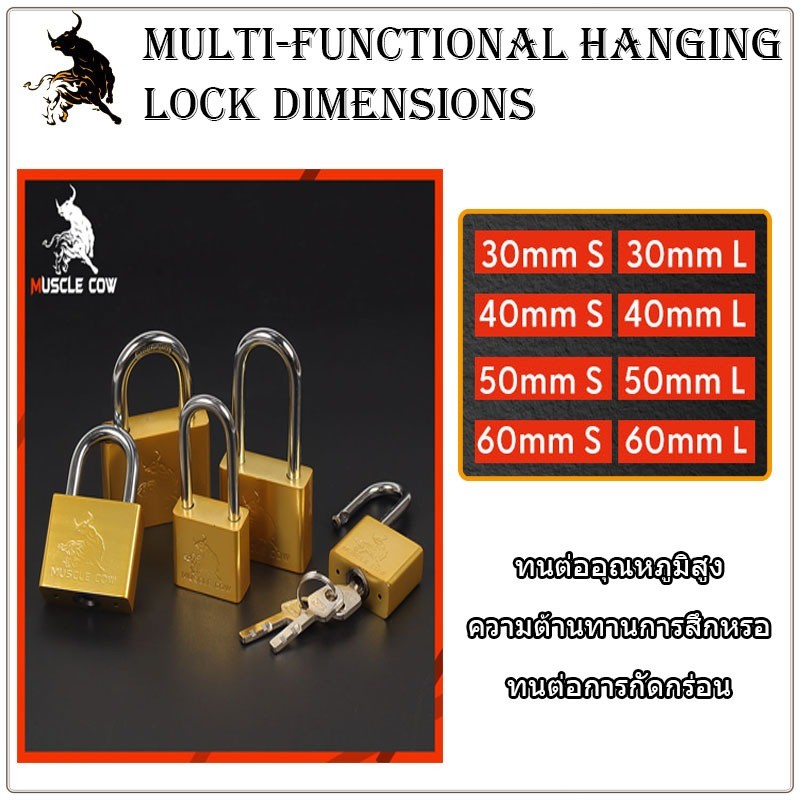 Muscle COW กุญแจ ระบบลูกปืน สีทอง และสีเงิน กุญแจลูกปืน กันน้ำได้ 60มม. คอสั้น คอยาว ขนาดเล็ก ใหญ่ รุ่นเหล็กชุบ แม่กญแจ - รูปที่ 5