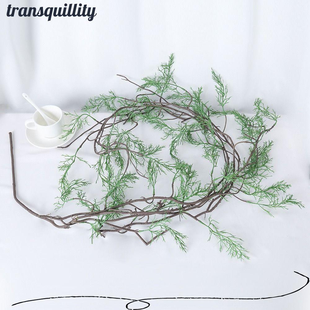 TRANSQUILLITY จําลอง Lucid หน่อไม้ฝรั่ง Vine, สีเขียว 145 ซม.ประดิษฐ์ Black Bone Vine, Creative DIY 