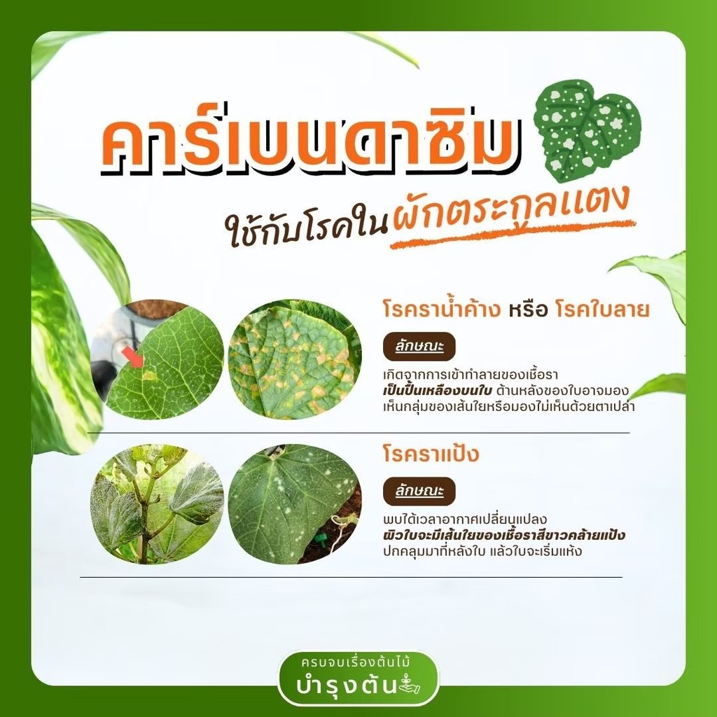 มุมมอง 5