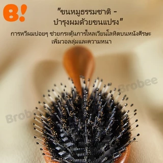 แปรงหวีผมขนหมูป่าธรรมชาติ ด้ามไม้จันทน์สีทอง ช่วยให้ผมเรียบลื่น ลดไฟฟ้าสถิต และนวดหนังศีรษะ