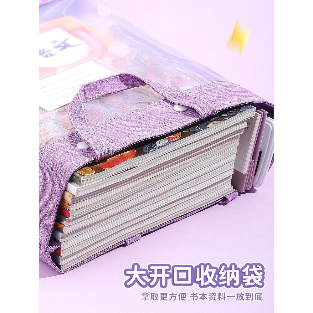 Tote Bag Zippered Boy Pupil20260404