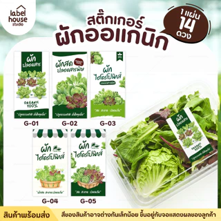 สติ๊กเกอร์ ผักปลอดสาร สติ้กเกอร์ ผักสลัด Organic แบบวงกลมและสี่เหลี่ยม วัสดุ PP กันน้ำ สติกเกอร์
