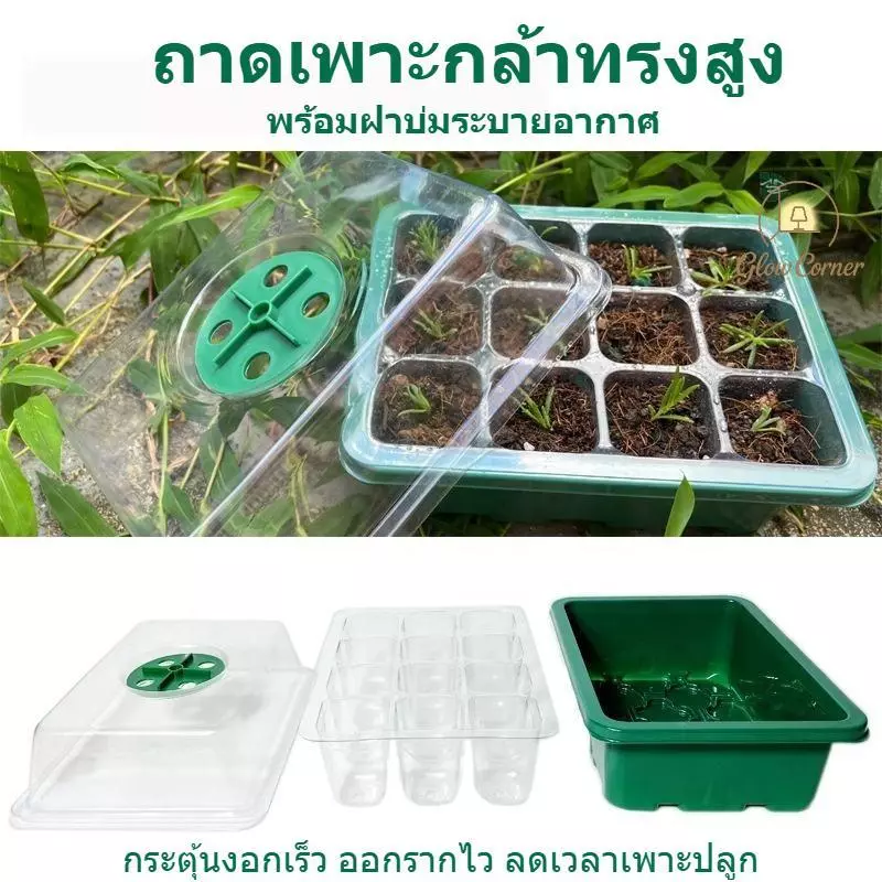ชุดถาดเพาะกล้า ทรงสูง มีฝาปิดระบายอากาศ ควบคุมความชื้น กระตุ้นงอกเร็ว ปลอดภัยกันแมลง ทนทานใช้ซ้ำ เหมาะปลูกพืชสวนเกษตร