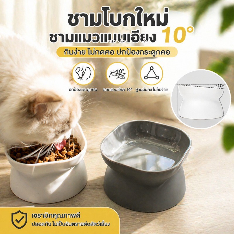 ชามแมว ชามสัตว์เลี้ยง ใช้ทั้งสองด้าน ที่ให้น้ำ ที่ให้อาหาร ป้องกันกระดูกสันหลังส่วนคอ