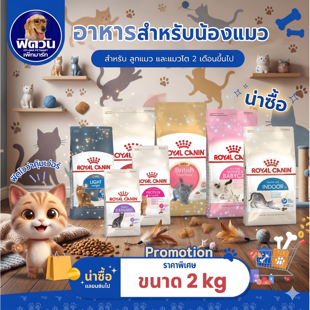 ROYAL CANIN  สูตรพิเศษ สำหรับลูกแมวเเละแมวโต  อาหารแมว ขนาด 2 กก. {อาหารแมวเม็ด}