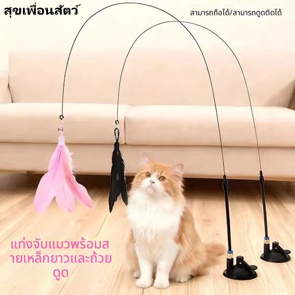 🐱 ไม้ล่อแมวแบบดูดแรง มีขนนกและกระดิ่ง หัวเปลี่ยนได้ ยาวพิเศษ ของเล่นแมวคลายเบื่อ พร้อมส่ง เพิ่มความใกล้ชิด