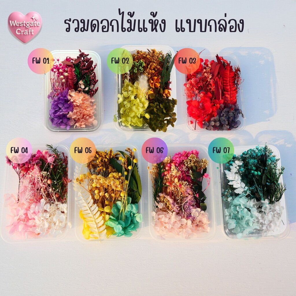 รวมดอกไม้แห้ง แบบกล่อง คละขนาด FW 01-09 , ดอกไม้แห้งจริง