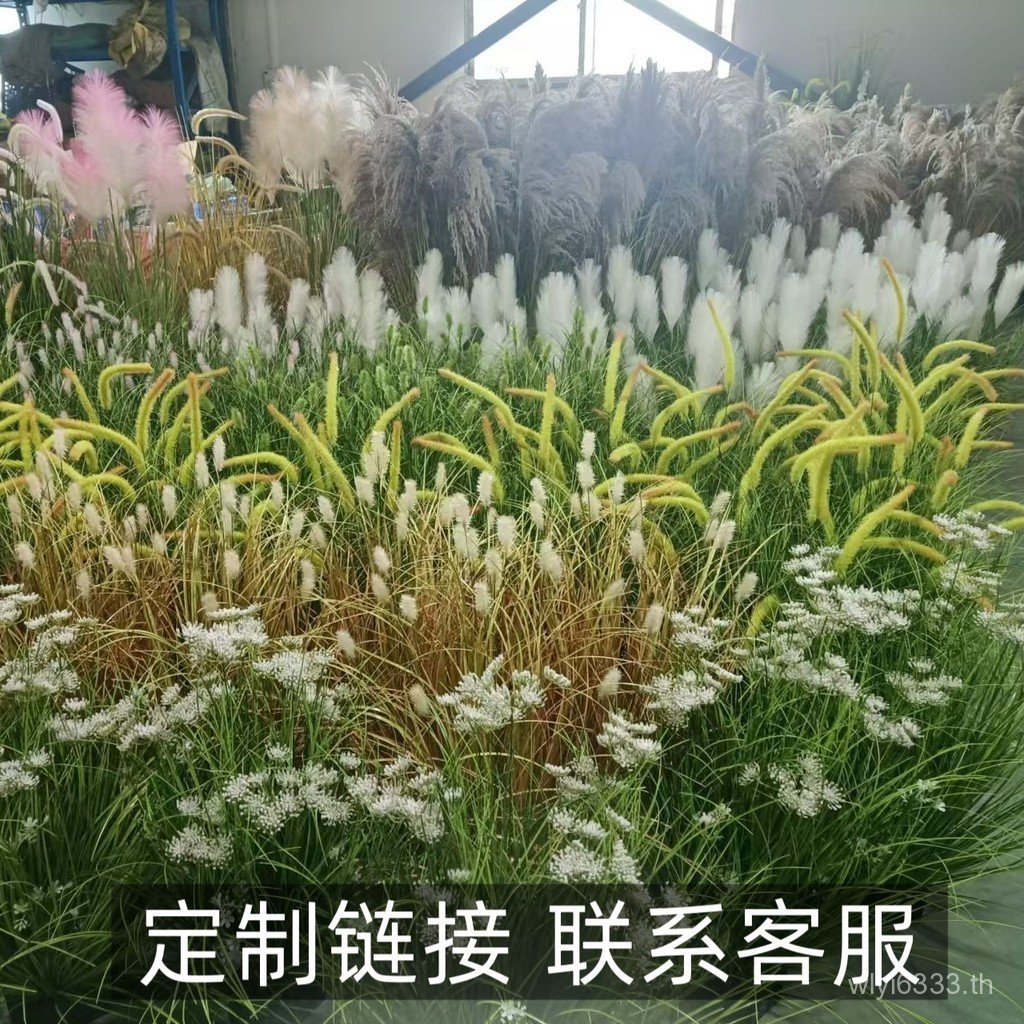 จําลองสํานักงานลูกไม้ห้องนั่งเล่น Leek หญ้า Leek ดอกไม้ Dogtail หญ้าสวน Reed พืชสีเขียวตกแต่งภูมิทัศ