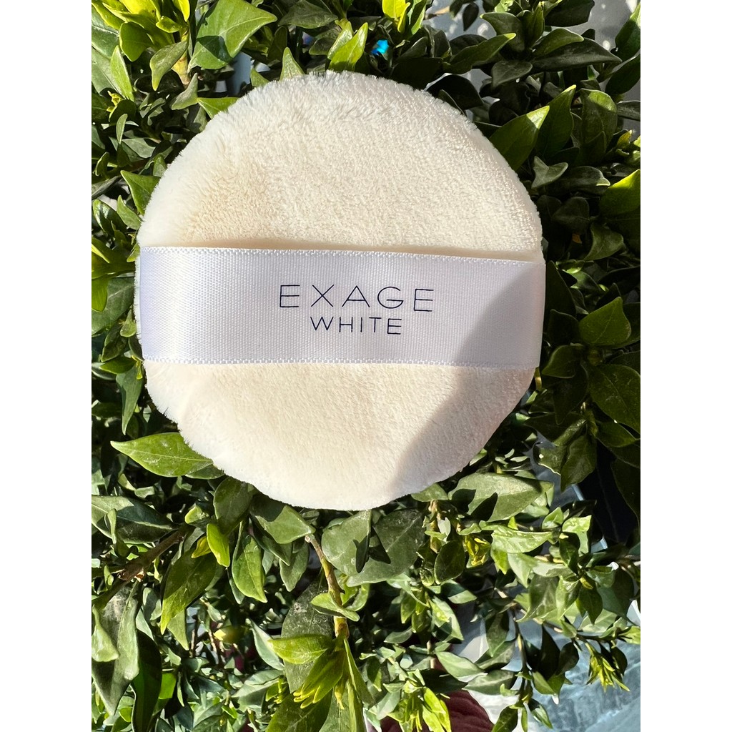 Albion Loose Puff Loose Puff Loose Puff Albion Night Puff Setting Loose Puff!พร้อมสต็อก จัดส่งทันที!