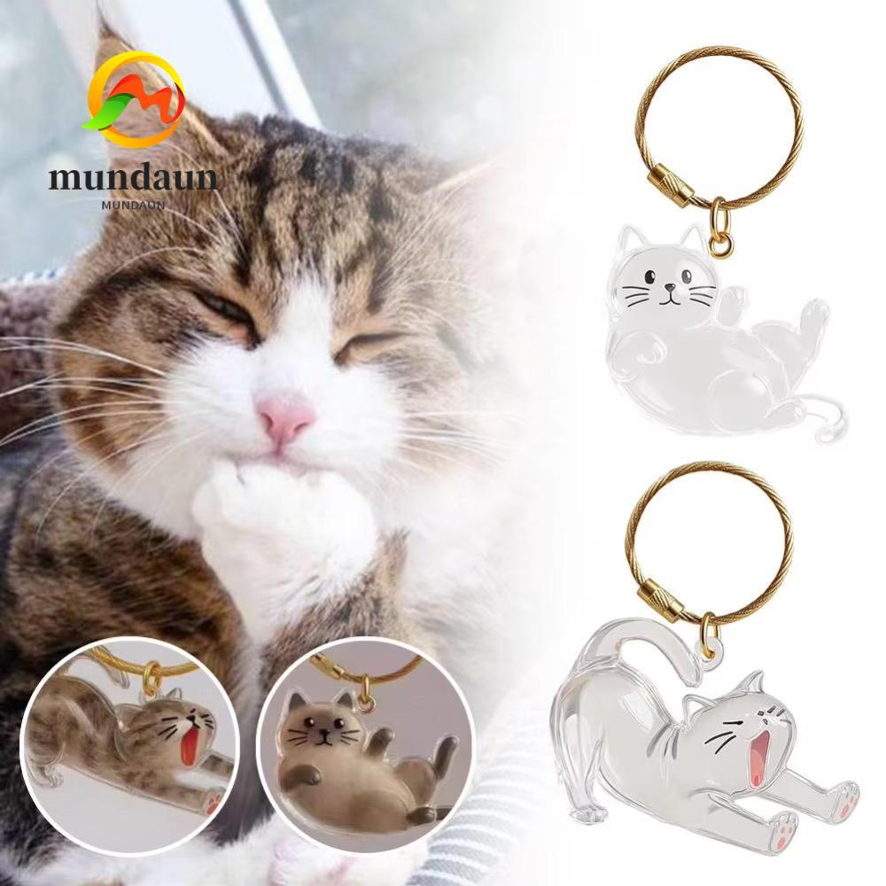 MUNDAUN Pet Fur Keepsake Capsule, ของขวัญ DIY ตกแต่งแมวพวงกุญแจเก็บ, น่ารักโปร่งใสแบบพกพาของที่ระลึกพวงกุญแจสัตว์เลี้ยง Mementos