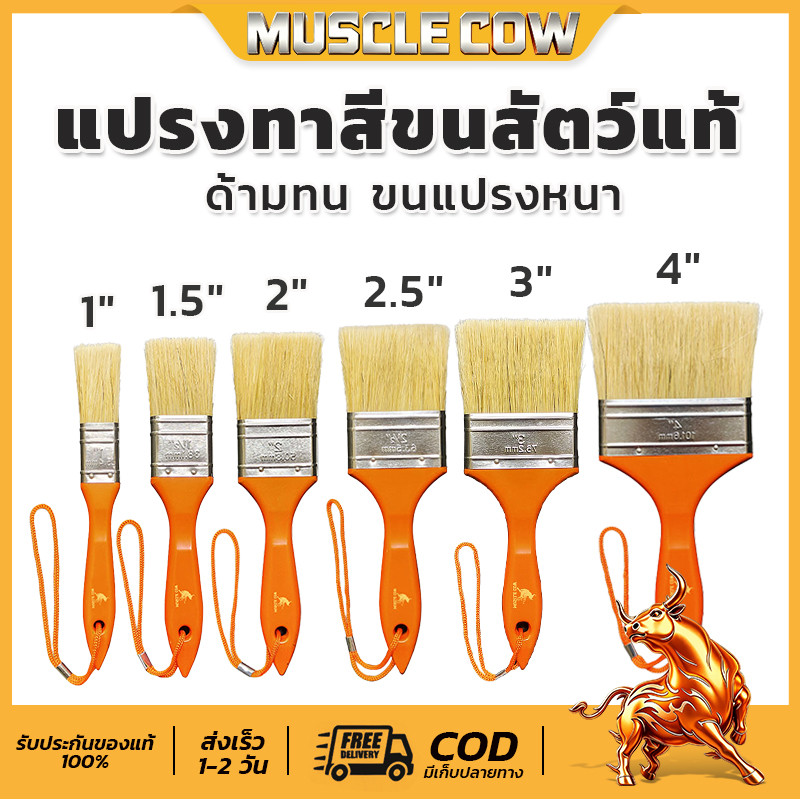 🛒ชุดคุ้มค่า MUSCLE COW แปรงทาวานิช แปรงขนอ่อน ครบฟังก์ชัน หลายขนาดเลือกใช้ ซ่อมแซมตกแต่งได้หลากหลาย