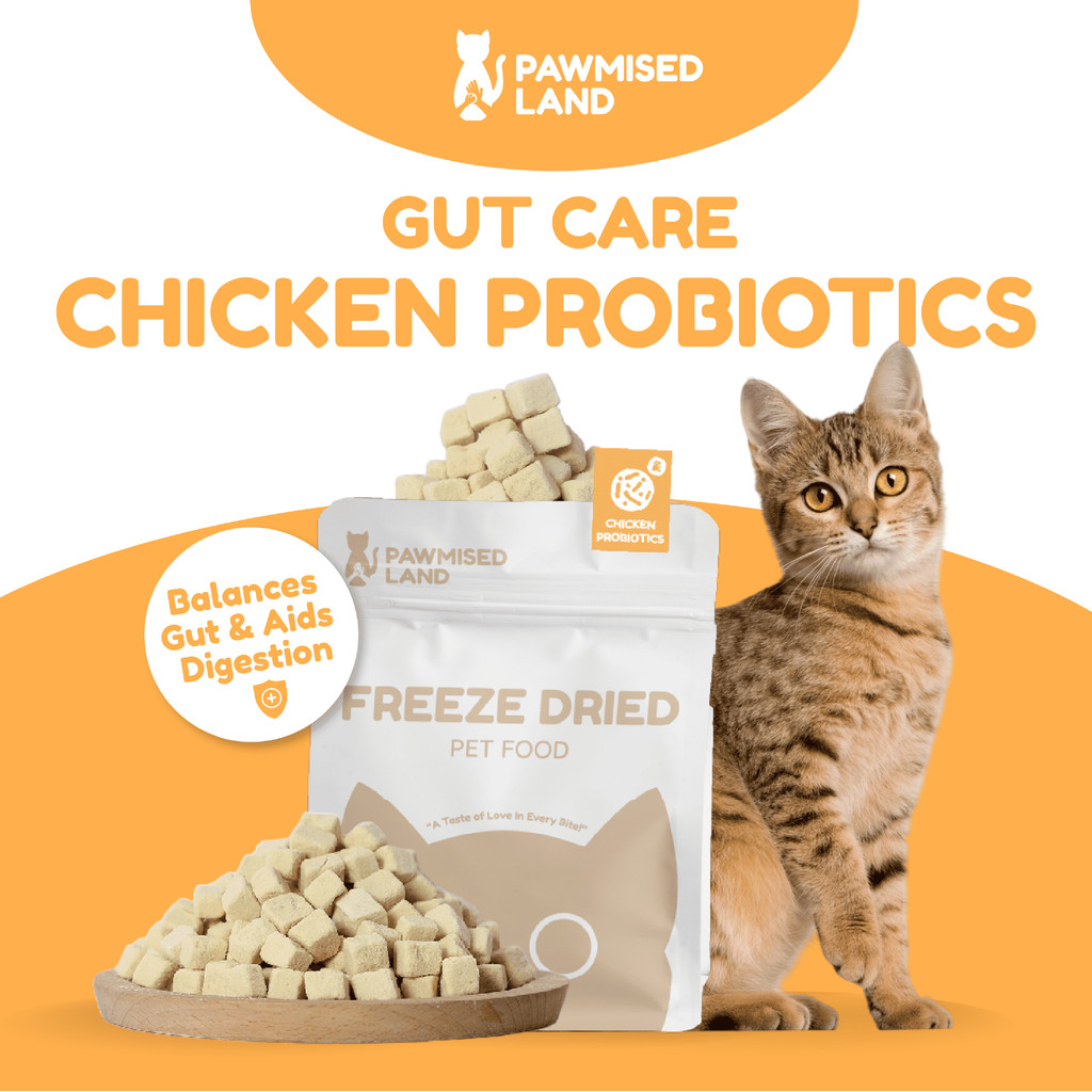PawmisedLand Catty Munchies - โปรไบโอติกไก่ - Functional Series Freeze Dry 125g อาหารสัตว์เลี้ยงอาหา