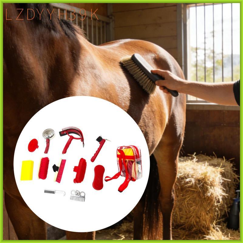 [lzdyyh39k] 11x Horse Grooming Kit Tack Room Accessories Buffing Horse Tack Brush Set