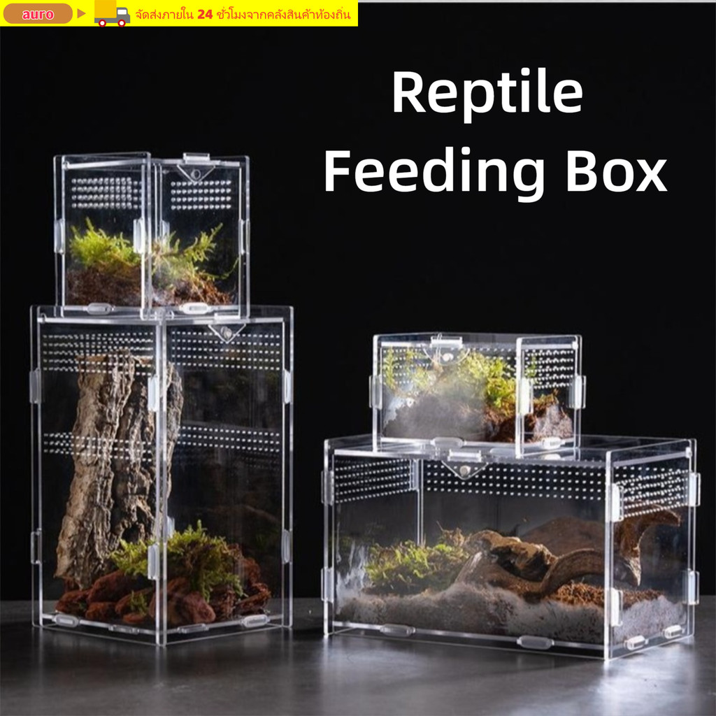 AURO สัตว์เลื้อยคลาน Habitat, กล่องเพาะพันธุ์จิ้งจกอะคริลิคหลายขนาด, ทนทาน Anti-Escape Arboreal Spider Feeding สําหรับ Chameleon