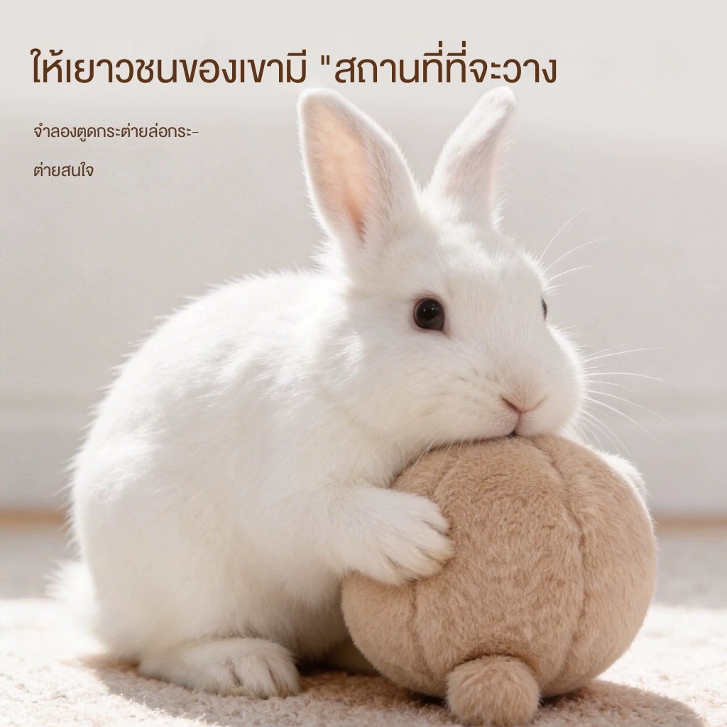 ของเล่นกระต่าย, ลูกบอลบรรเทาความเครียด สำหรับกระต่ายคนแคระและกระต่ายผสม,  การออกแบบกรงเล็บบด