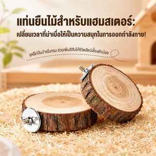 hamster travelที่นอนสำหรับแฮมสเตอร์ ทำจากไม้เนื้อแข็ง เหมาะสำหรับตกแต่งสวน และเหมาะสำหรับสัตว์เลี้ยงขนาดเล็ก เช่น นกแก้ว