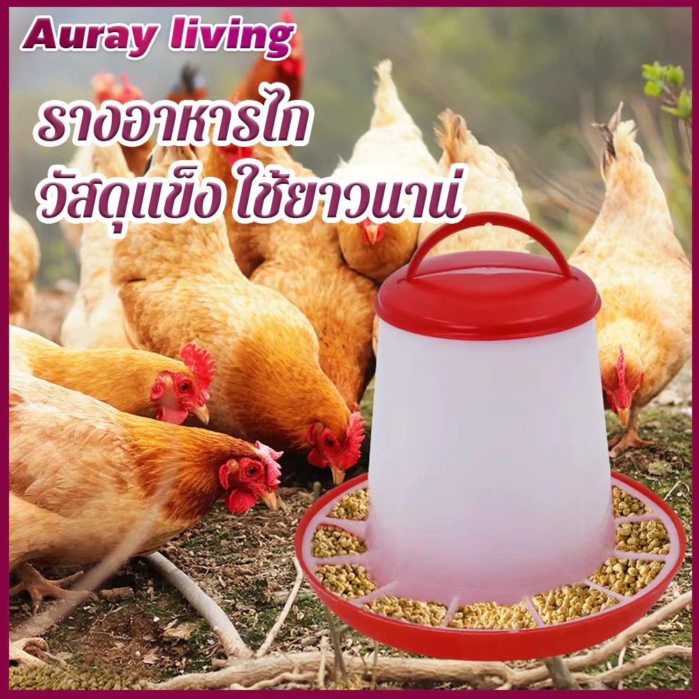 เครื่องให้อาหารไก่อัตโนมัติ ความจุขนาดใหญ่