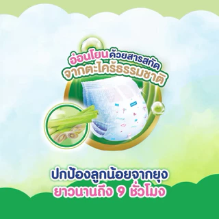 [ยกลัง 6ห่อ] เบบี้เลิฟ ผ้าอ้อมกันยุง กางเกงผ้าอ้อมเด็ก สารสกัด จากตะไคร้ธรรมชาติ ไซส์ M/L/XL