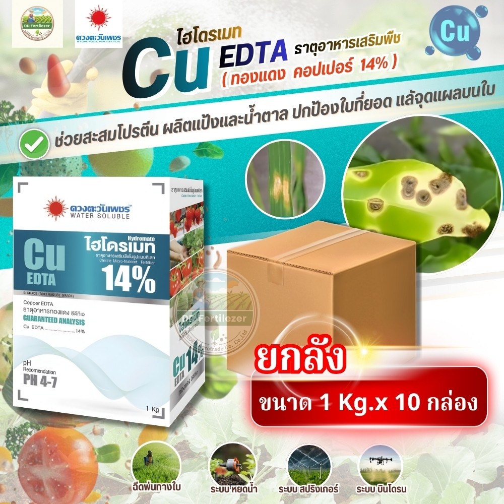 (ยกลัง1kg*10) คีเลต คอปเปอร์ (ทองแดง) 14% Cu-EDTA #ดวงตะวันเพชร ยกลัง 10 kg