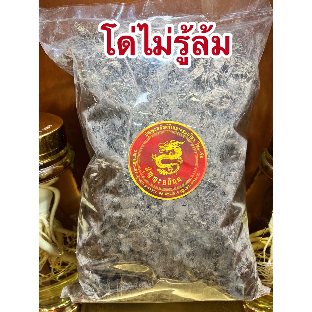 โด่ไม่รู้ล้ม โด่ไม่รู้ล้มแห้ง โด่ ต้นโด่ไม่รู้ล้มบรรจุ1โลราคา125บาท