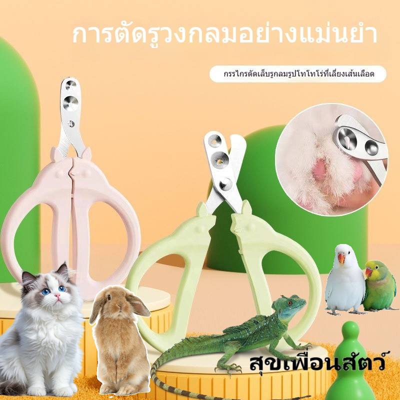 🐇กรรไกรตัดเล็บสัตว์เลี้ยง 🐱ดีไซน์ป้องกันตัดเส้นเลือด ✂️อุปกรณ์ตัดเล็บสำหรับสัตว์เล็ก ทั้งแมว กระต่าย นก จิ้งจก