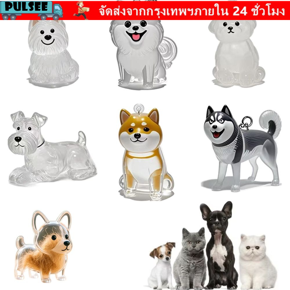 กล่องเก็บขนสุนัข PULSEE, จี้เก็บขนสุนัข Bichon Husky Corgi โปร่งใส, ของขวัญความคิดสร้างสรรค์แบบพกพาเก็บขนสุนัขของขวัญแคปซูลให้