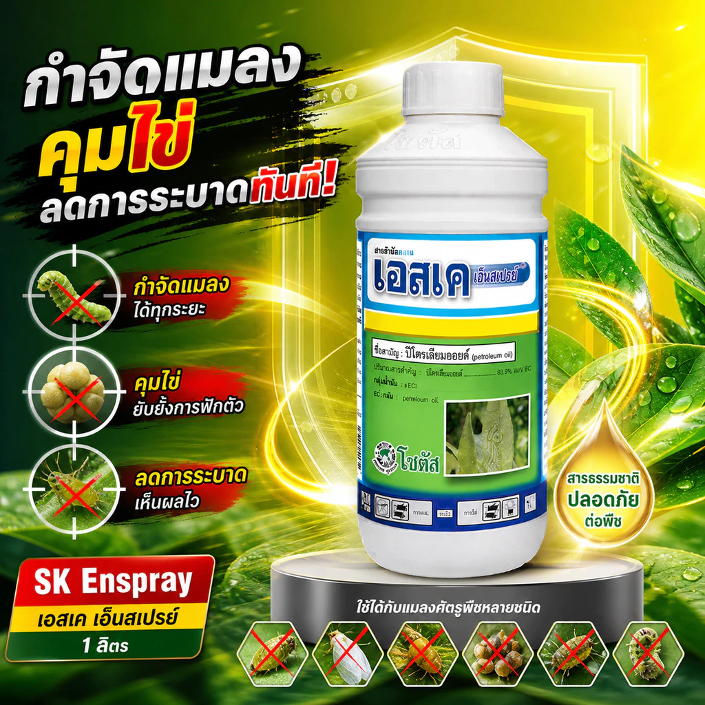 เอสเค เอ็นสเปรย์ 99 -ปิโตรเลียมออยล์ 83.9% W/V EC -คุมไข่ คุมตัวอ่อน ลดการระบาดของแมลงศัตรู - ขนาดบรรจุ 1 ลิตร