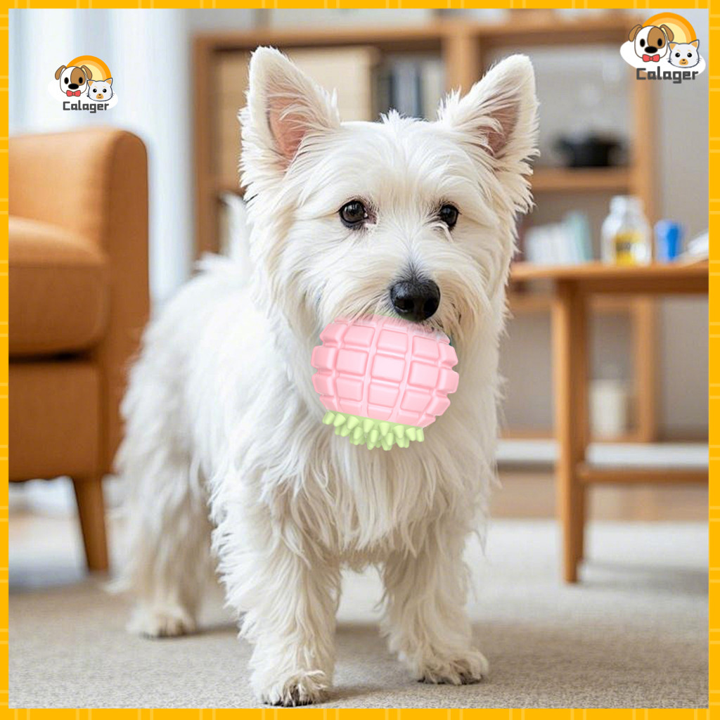 [Calager] Textured Dog Chew Toy Dog Squeaky Chew Toy Squeaky Dog Ball Toy – ทนทานเคี้ยวฟันของเล่นสํา