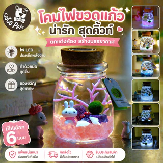 COD ชุดพร้อมเลี้ยงมาริโมะ แถมอุปกรณ์ครบชุดพร้อมเลี้ยง มาริโมะ ของขวัญ มอสบอล