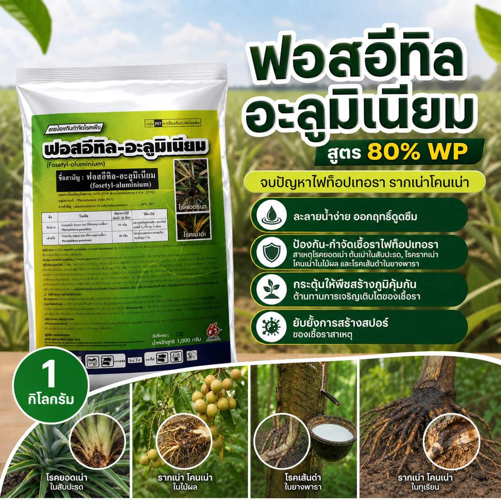 [2แบบ] ฟอสอีทิล ฟอสอีทิล-อะลูมิเนียม (fosetyl-aluminium) สูตร 80% WP ขนาด 1 กก สารกำจัดโรคพืช โรคเน่า
