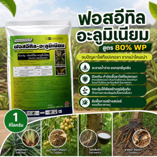 [2แบบ] ฟอสอีทิล ฟอสอีทิล-อะลูมิเนียม (fosetyl-aluminium) สูตร 80% WP ขนาด 1 กก สารกำจัดโรคพืช โรคเน่า