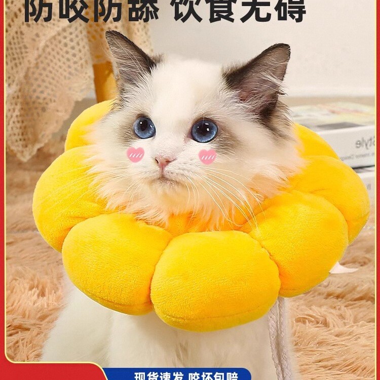 Elizabeth Collar Cat ปลอกคอฆ่าเชื้อ Anti-licking British Short Cat Collar Collar Headgear Dog Pet Su
