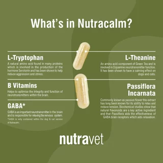 Nutravet [แท้💯] Nutramind / Nutraren / Nutracalm / Nutracys+ / Nutramarin+ / Nutraquin อาหารเสริมที่สัตวแพทย์แนะนำ 🇬🇧