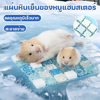 COD แผ่นหินเย็นของหนูแฮมสเตอร์ แผ่นคลายร้อนหนูแฮมสเตอร์ แผ่นเย็นสัตว์เลี้ยง ลดอุณหภูมิเร็ว ออกแบบมาสำหรับสัตว์เลี้ยง