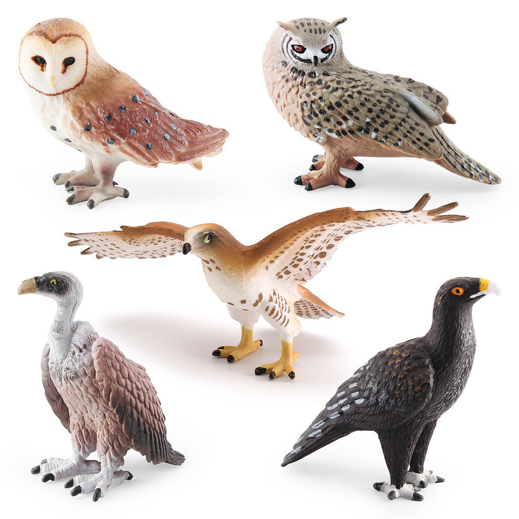 จําลองนกป่าสัตว์รุ่นเด็กการศึกษาวิทยาศาสตร์ลิง Face Eagle Vulture เครื่องประดับนกฮูก