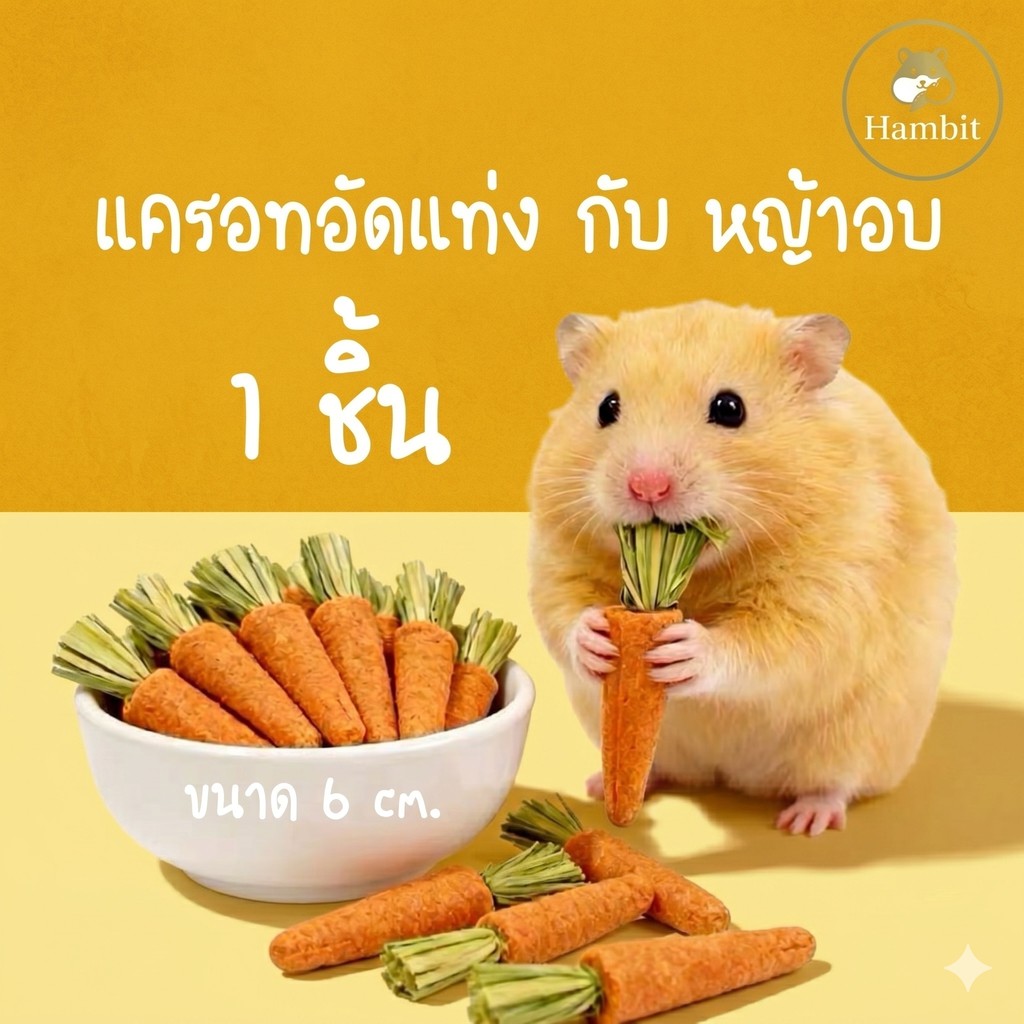 Hambit. 🥕 แครอทลับฟัน 🐹 ขนาด 6 cm. ขนมแฮมสเตอร์ กระต่าย ราคาถูก