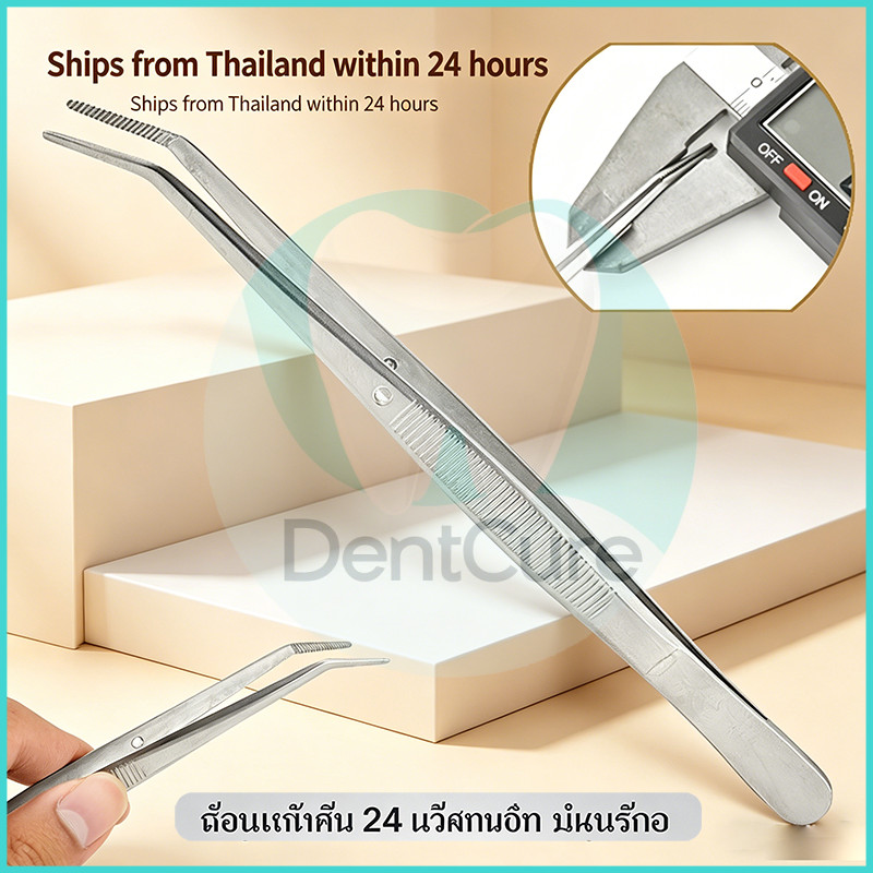 แหนบอเนกประสงค์ Dental Cotton Tweezers ปากคีบสแตนเลส สำหรับคีบสำลีและวัสดุทันตกรรม