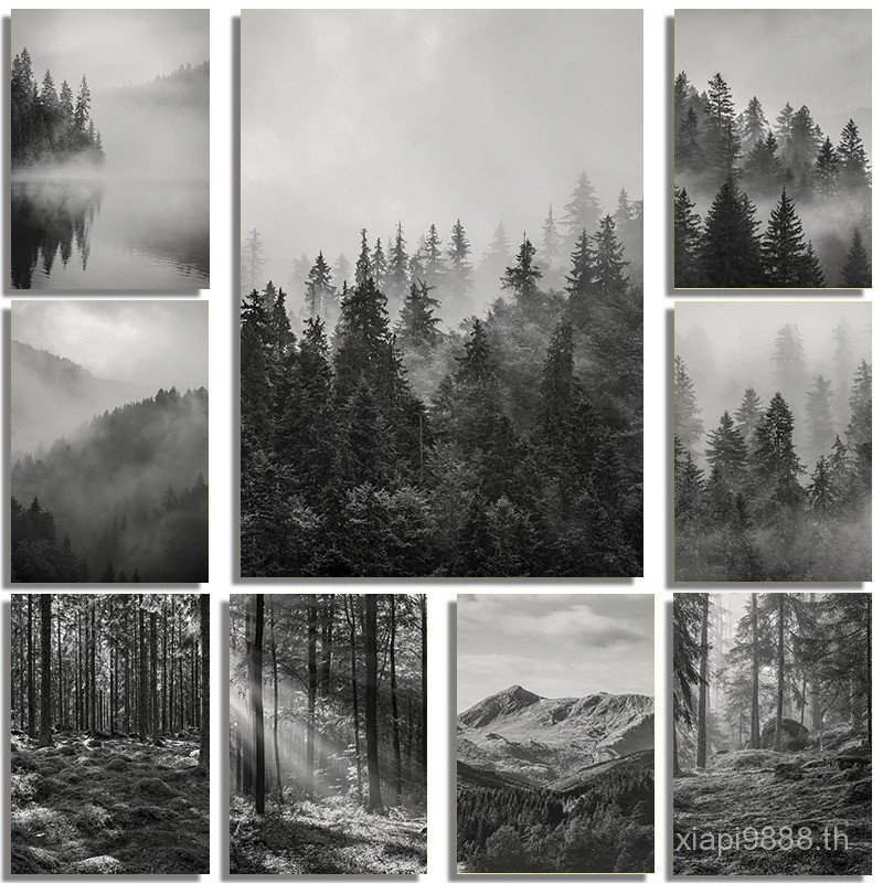 สีดําสีขาว Foggy Pine Tree Forest Mountains โปสเตอร์และพิมพ์ผ้าใบภาพวาด Wall Art ภูมิทัศน์ภาพสําหรับห้องตกแต่งบ้าน E2ZV