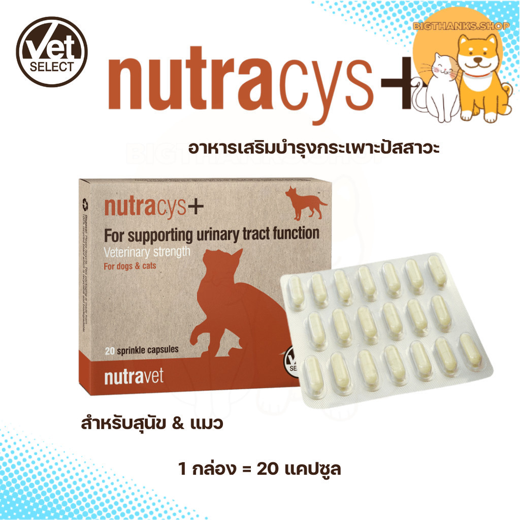Nutracys+ อาหารเสริมบำรุงระบบทางเดินปัสสาวะ [20 แคปซูล] สำหรับสุนัขและแมว [exp 05/28]