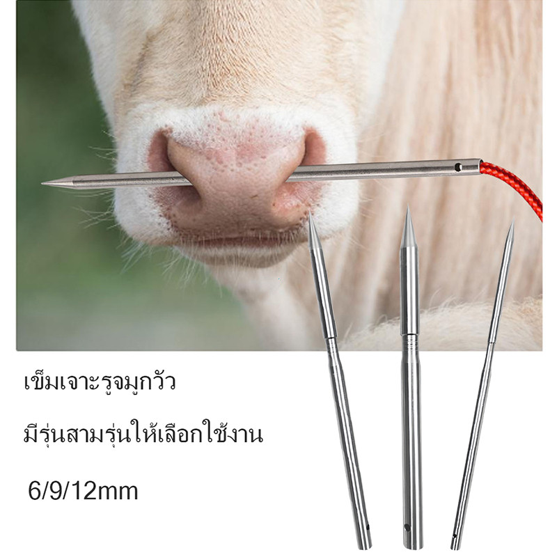 6/9/12mmมิลลิเมตร เลส304 เหล็กสนตะพายวัว ควาย เหล็กแทงจมูก วัว ควาย ส่งจากจังหวัดอุดรธานี