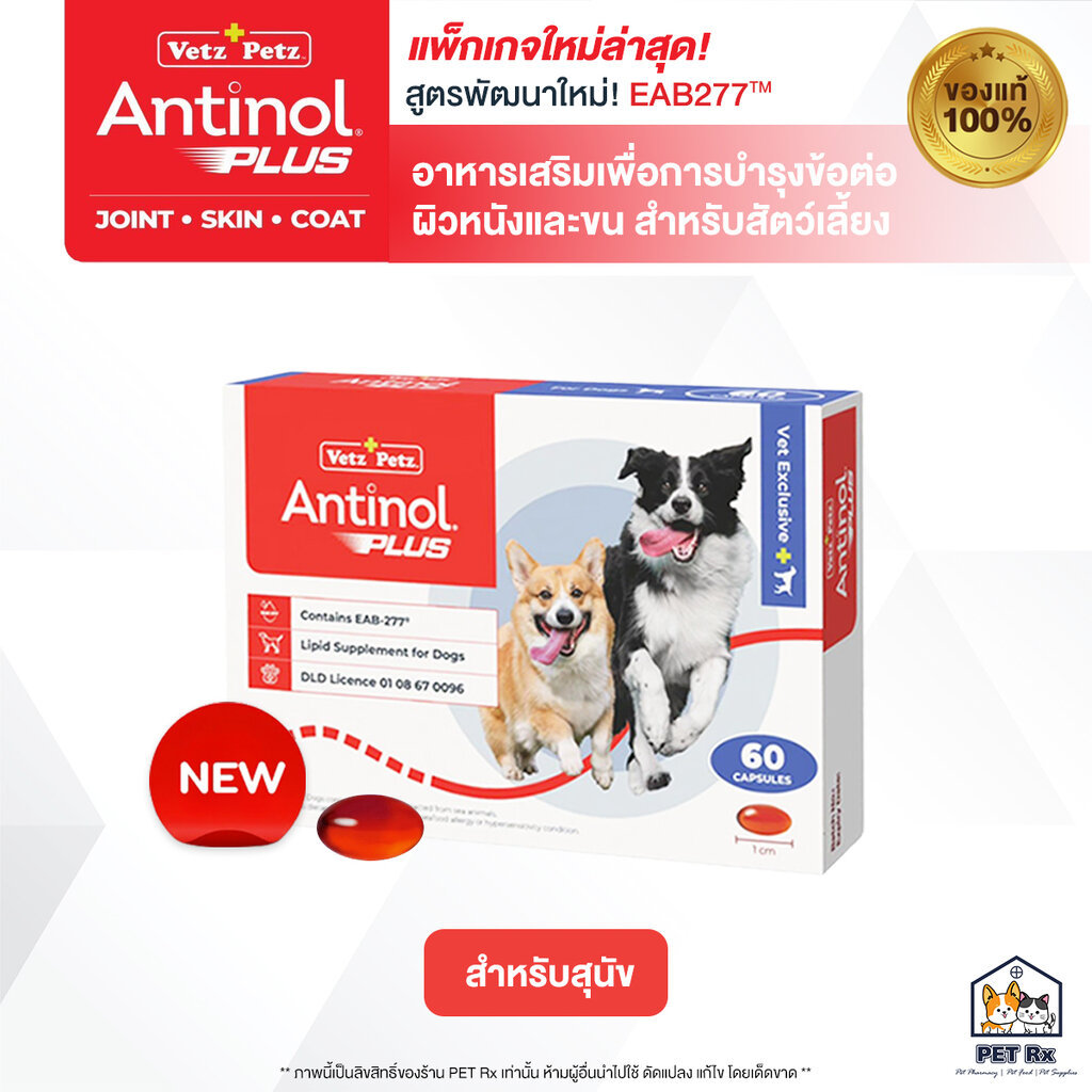 Antinol PLUS Dog [แท้💯] สูตรใหม่! EAB277 อาหารเสริมบำรุงข้อ ลดการอักเสบ สำหรับสุนัข