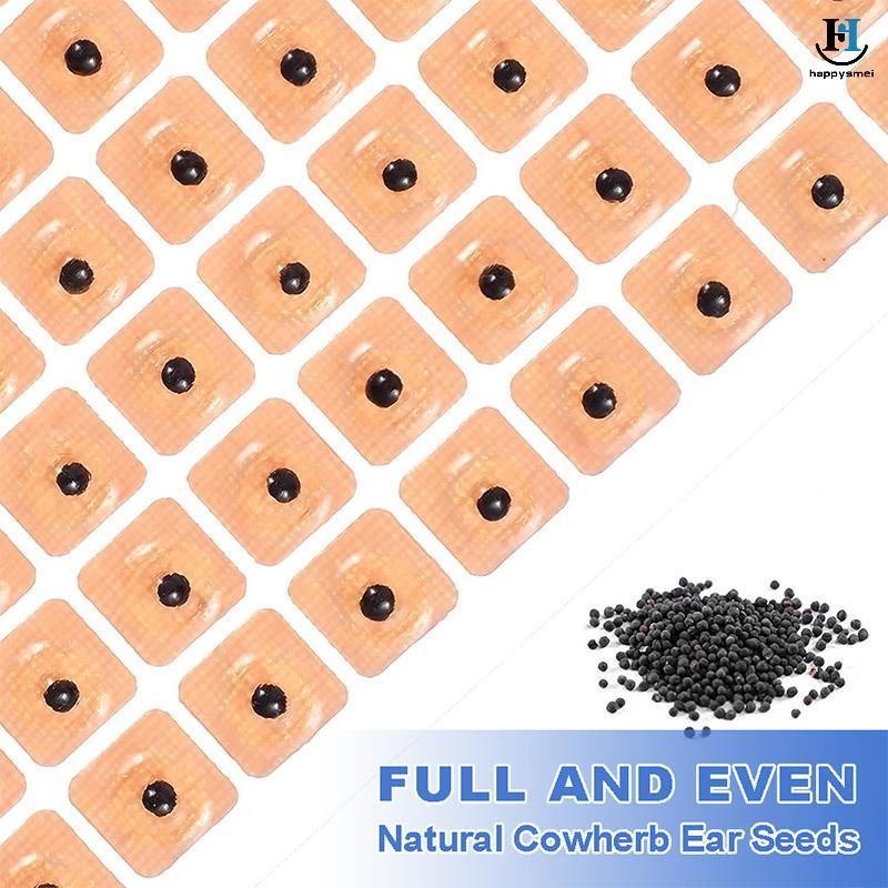 [GA] 60/300 Stiers Ear Point Stiers Ear Pressure Stiers Teacup Seed Bead Ear Stiers Massage Ear Stie