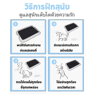 COD แผ่นรองฉี่สุนัข แผ่นรองฉี่หมา แผ่นรองซับ 100pcs ต่อต้านแบคทีเรีย ซึมซับไดีดี ช่วยฝึกขับถ่าย หนาไม่ขาด