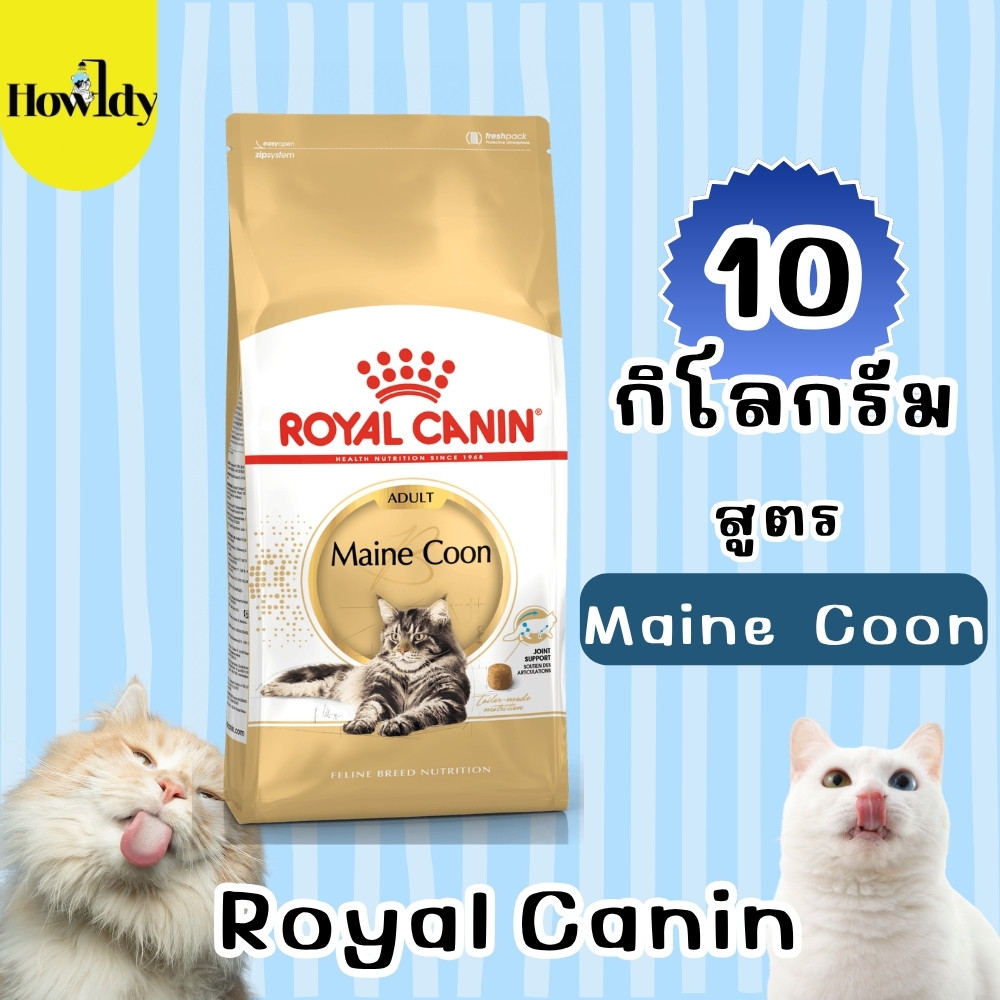 Royal Canin Maine coon Adult // Maine Coon Kitten อาหารเม็ดแมวเมนคูน ขนาด 10kg.