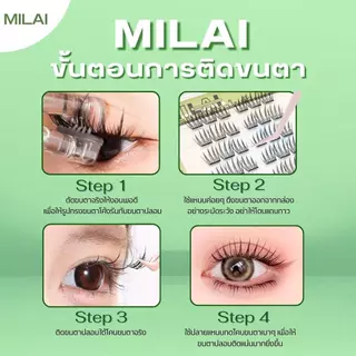 【G23 ไอดอล】MILAIขนตาปลอมกาวในตัว ลุคเกาหลี หวานๆ ขนตาเรียงเส้นสวย ธรรมชาติ เบาสบาย ไม่ระคายเคือง